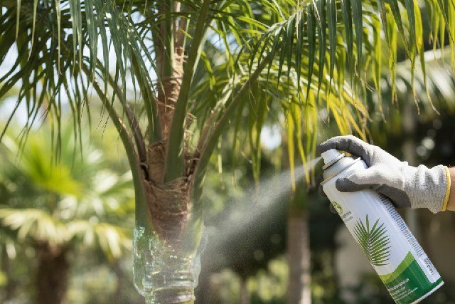 Biopalm Aérosol Glu