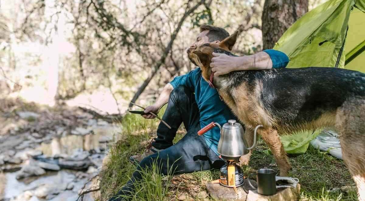 Homme et chien en laisse devant une tente verte lors d'un camping en forêt près d'un ruisseau