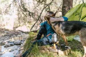 Homme et chien en laisse devant une tente verte lors d'un camping en forêt près d'un ruisseau