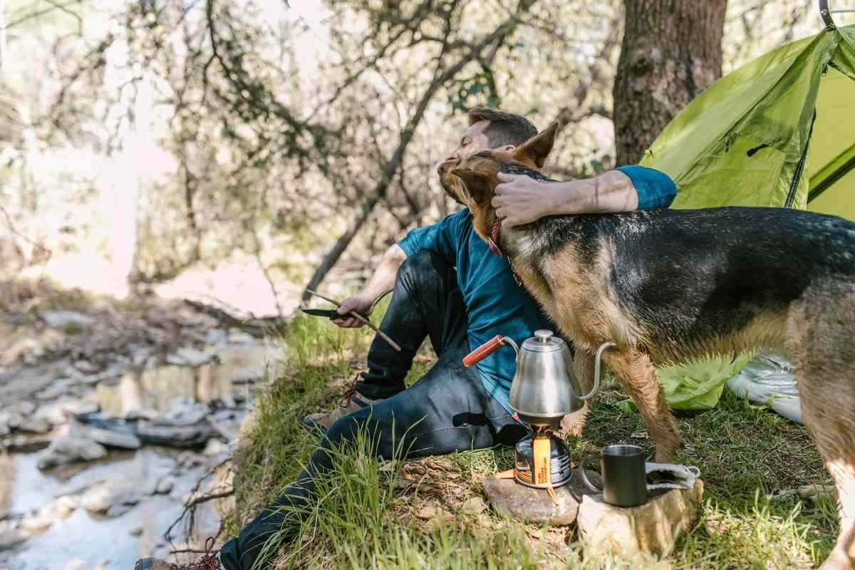 Homme et chien en laisse devant une tente verte lors d'un camping en forêt près d'un ruisseau