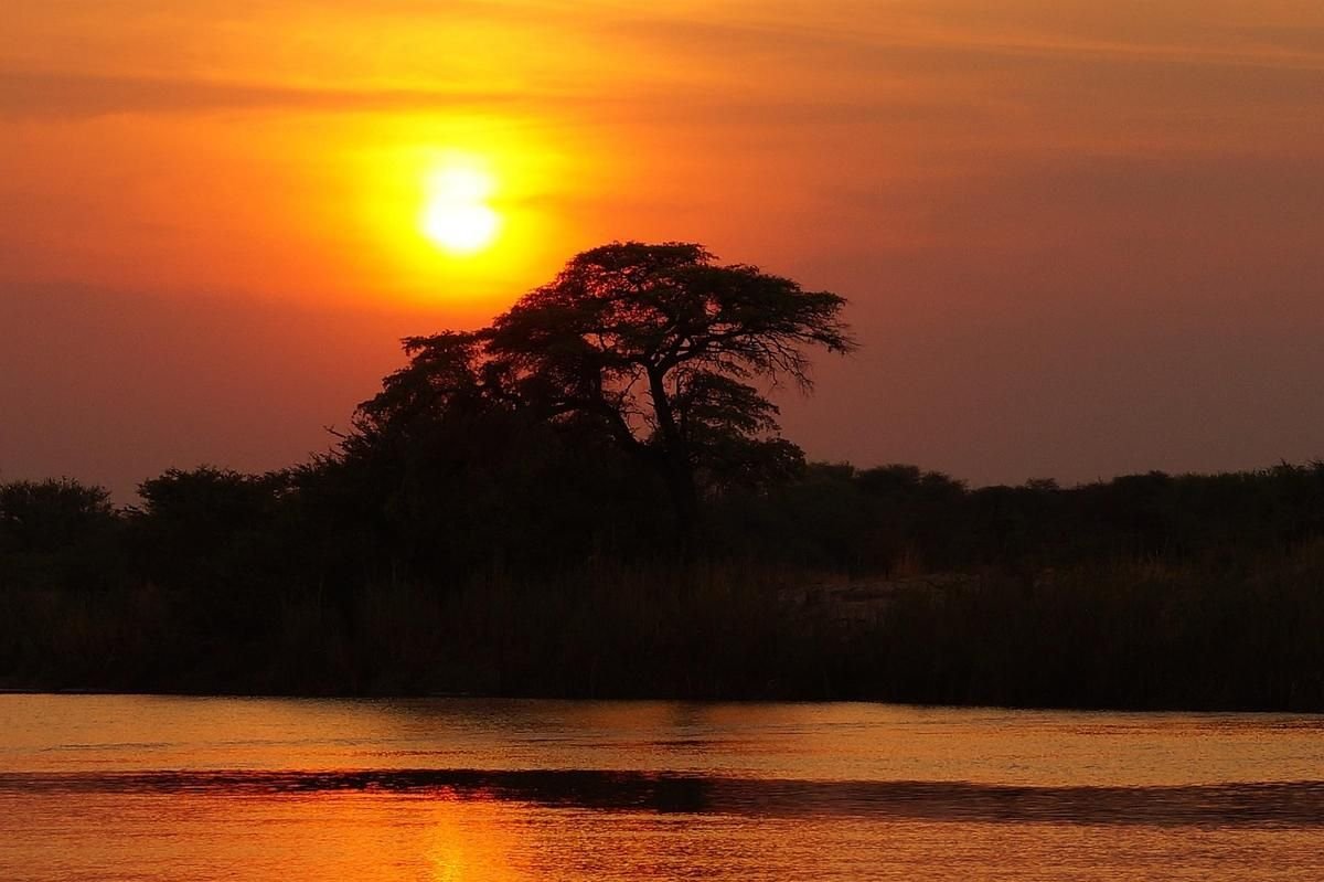 Soleil orangé se couchant derrière un arbre au-dessus d'un lac, ciel coloré Soleil orangé se couchant derrière un arbre au-dessus d'un lac, ciel coloré