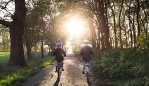Enfants à vélo sous un tunnel d'arbres, lumière dorée