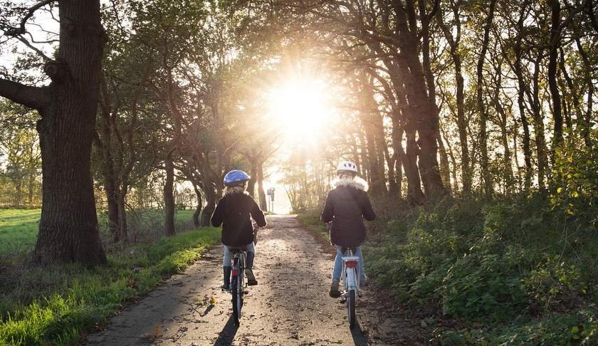 Enfants à vélo sous un tunnel d'arbres, lumière dorée Enfants à vélo sous un tunnel d'arbres, lumière dorée